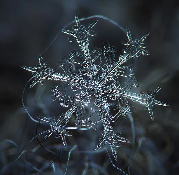 snowflake-alexey kljatov03