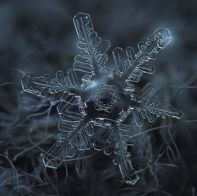 snowflake-alexey kljatov06