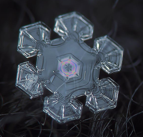 snowflake-alexey kljatov08