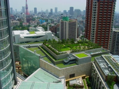 green roof city