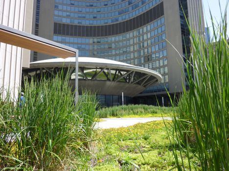 green roof-toronto city hall