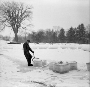 ice-harvesting-Connecticut
