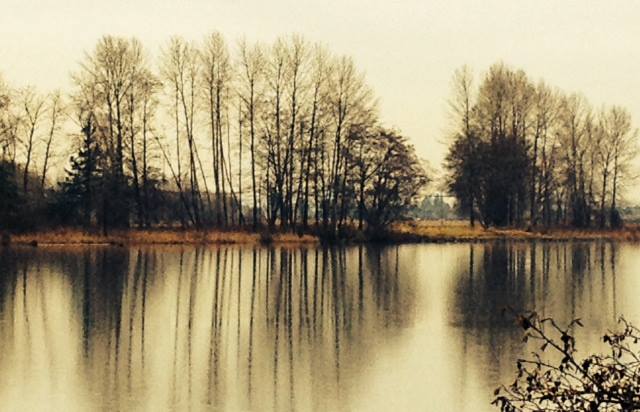 mirrored water Deas Park