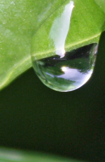Waterdrop reflection