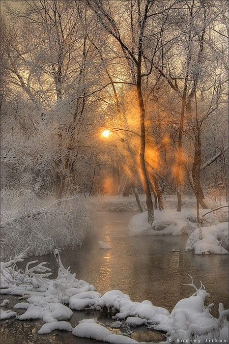winter stream snow fog