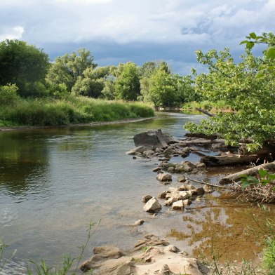 Credit-meadowvale copy