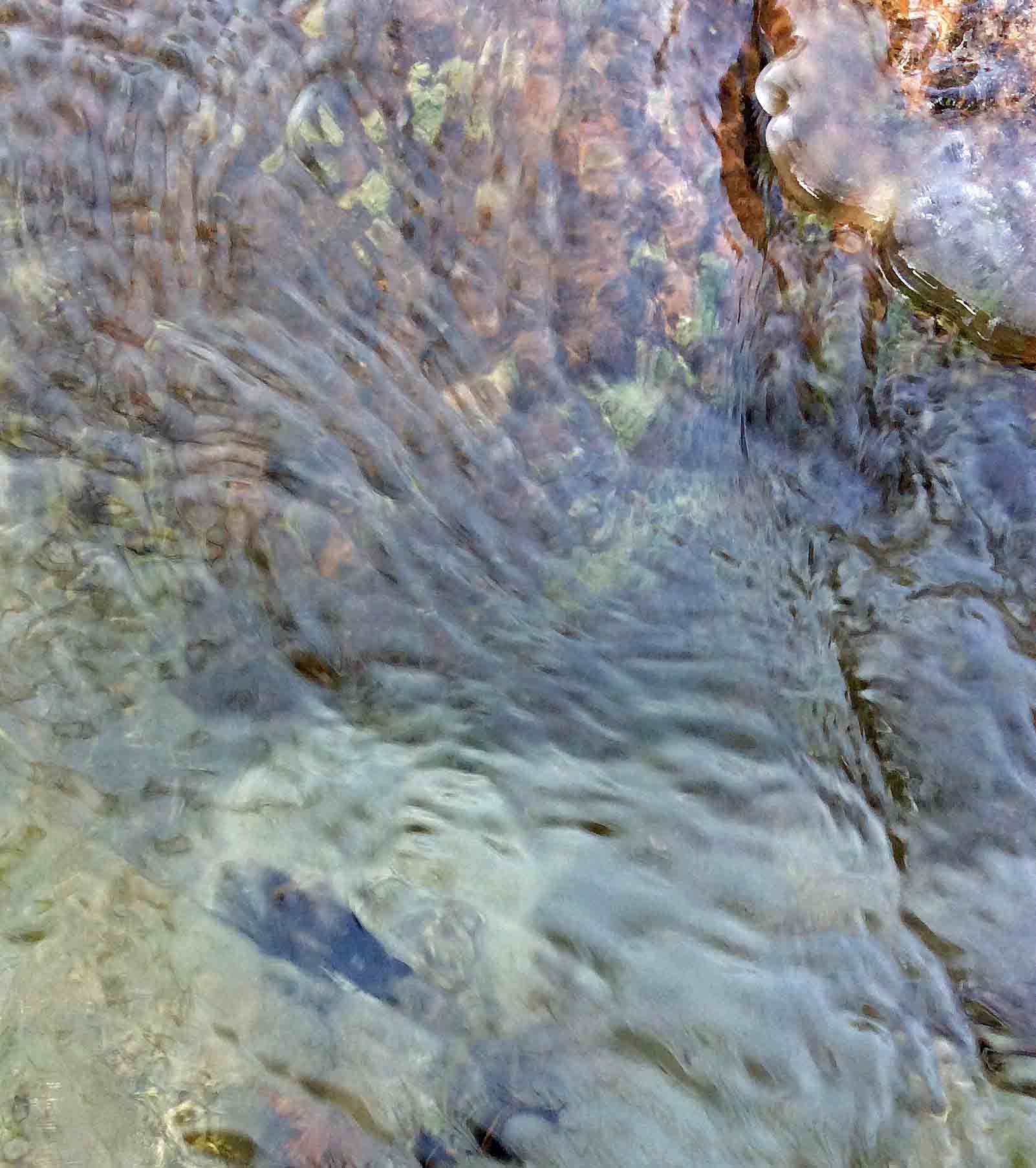 Water Is… – The Meaning of Water