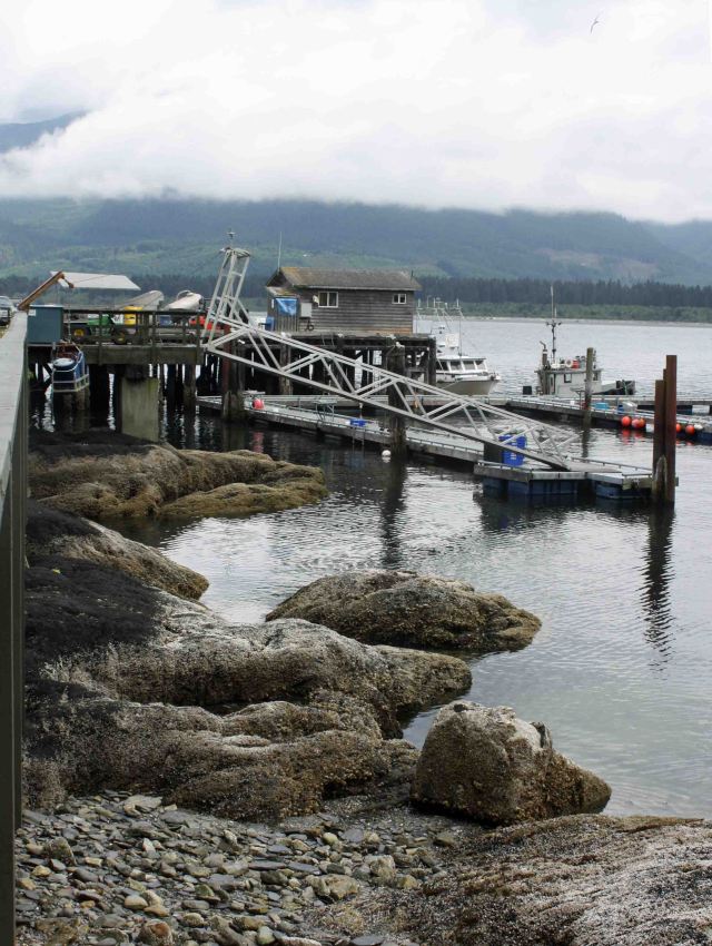 PortRenfrew dock fog copy