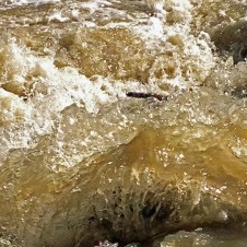 mimico-creek-turbulent03