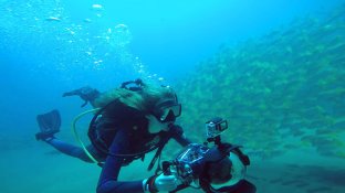 SeaOfLife-JuliaBarnes