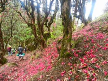 Trekking and Hiking in Bhutan