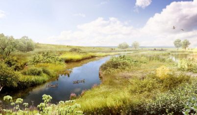 looking south at SersonCk wetland