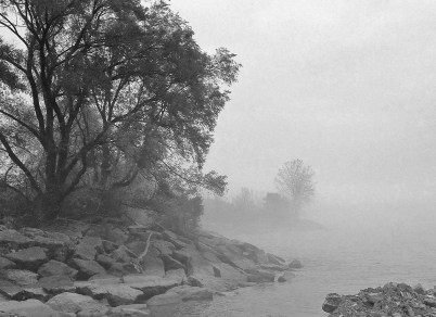 SersonCr-mouth closeBK2