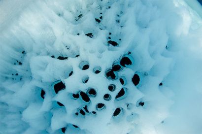 Greenland-cryoconite cones hold muck