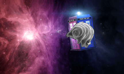 tardigradetardis copy