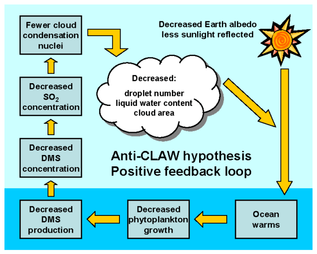 Anti-CLAW Hypothesis