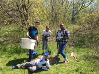 treePlanting-onemillioncampaign