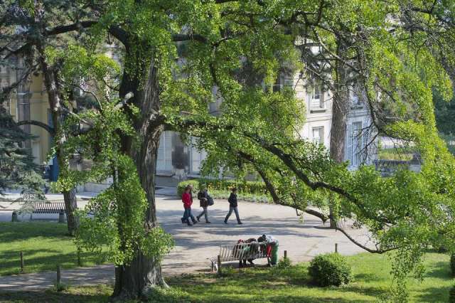Paris-Jardin des Plantes
