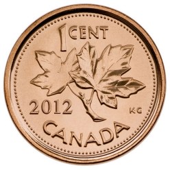 canadian penny-norway maple