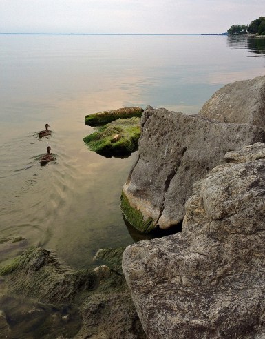 LakeOntario-OG04