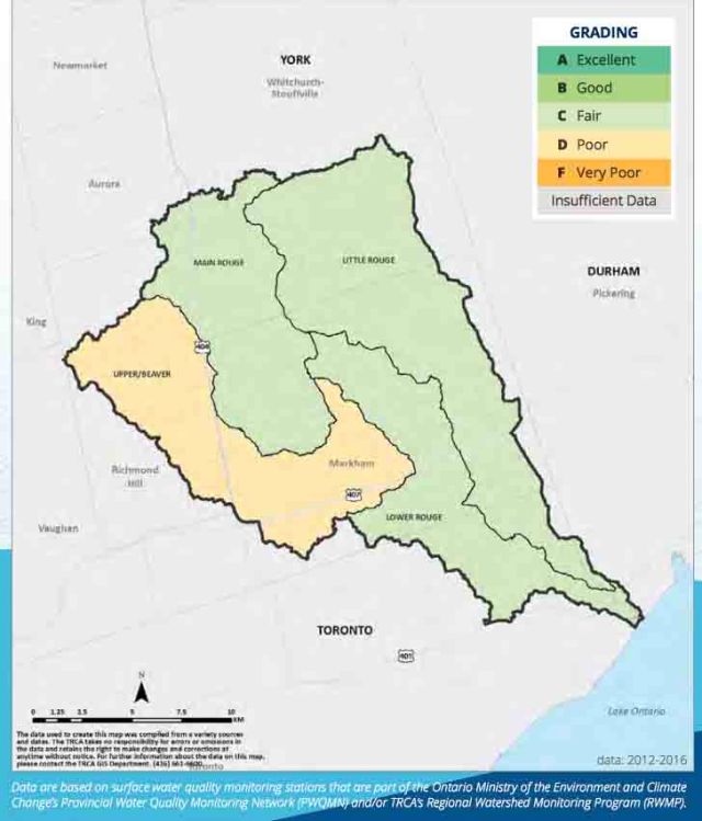 TRCA Grade-surfaceWQ
