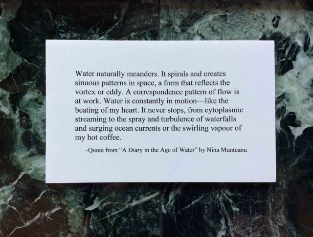 Water meanders-diary