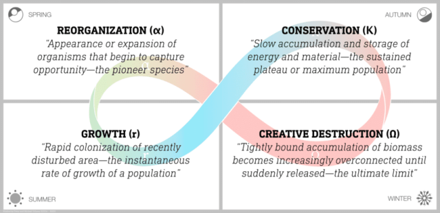 4 steps in Creative Destruction