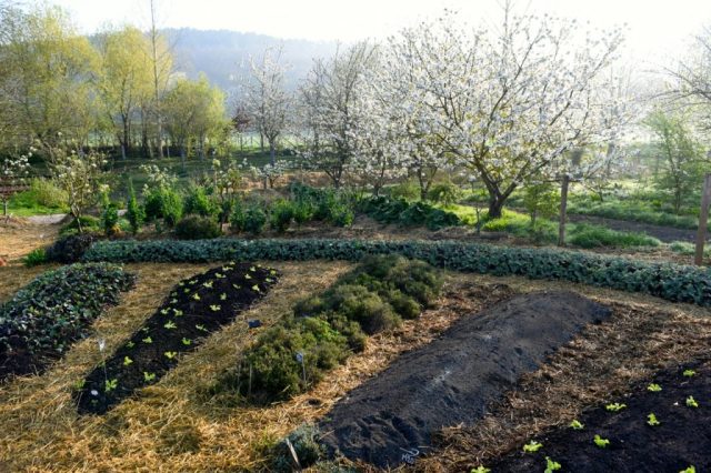 French permaculture