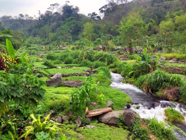 mesoamerican permaculture