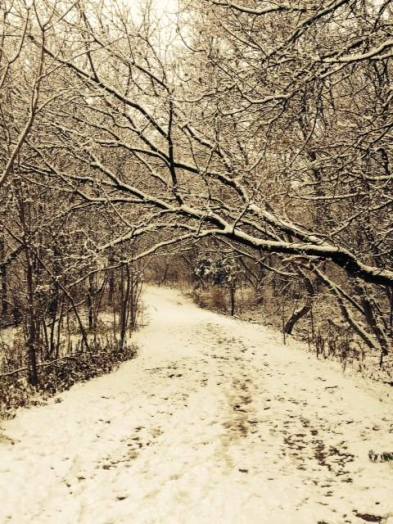 Credit Riv path in snow