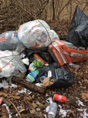 rouge-garbage-parkinglot