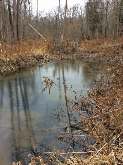 Icing pool-LittleRouge2 copy