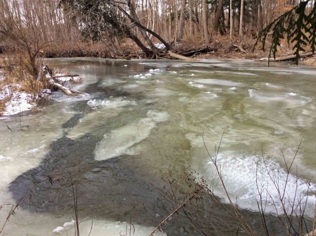 LittleRouge-icing-thalweg