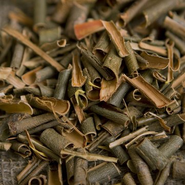 willow bark medicine