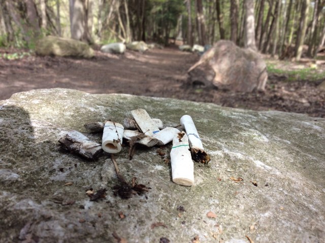 CigaretteButts-in park