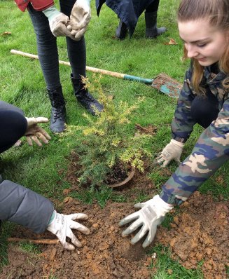 GirlsPlanting Hemlock