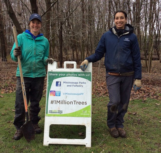 Organizers-1MillionTrees