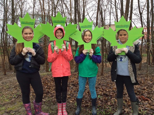 Tree Leaf kids