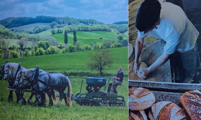 Microsoft Word - greatbread.docx