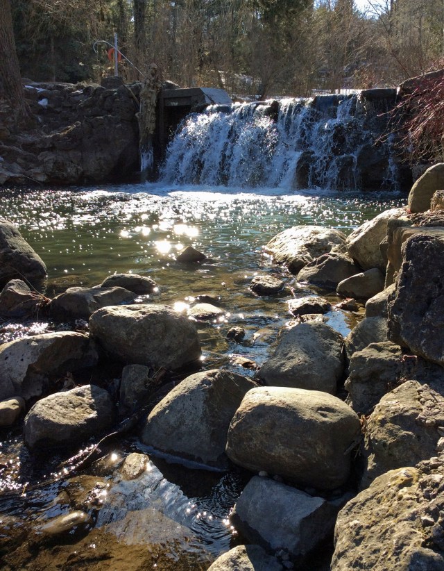 Wilket falls-EdwardGardens