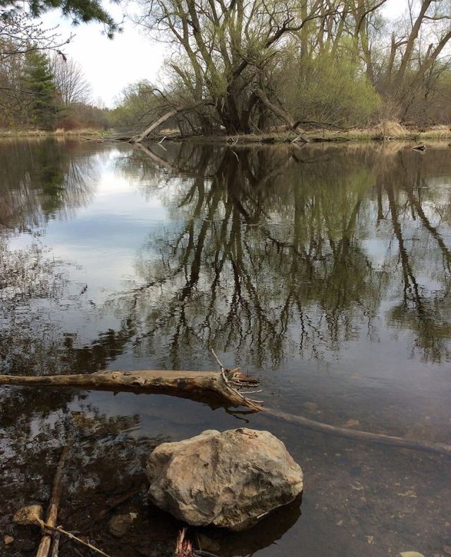 Eramosa River 3