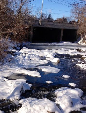 Mimico Creek-winter