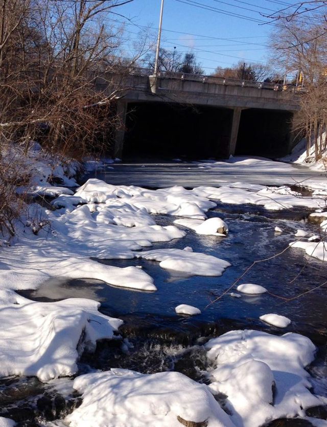 Mimico Creek-winter