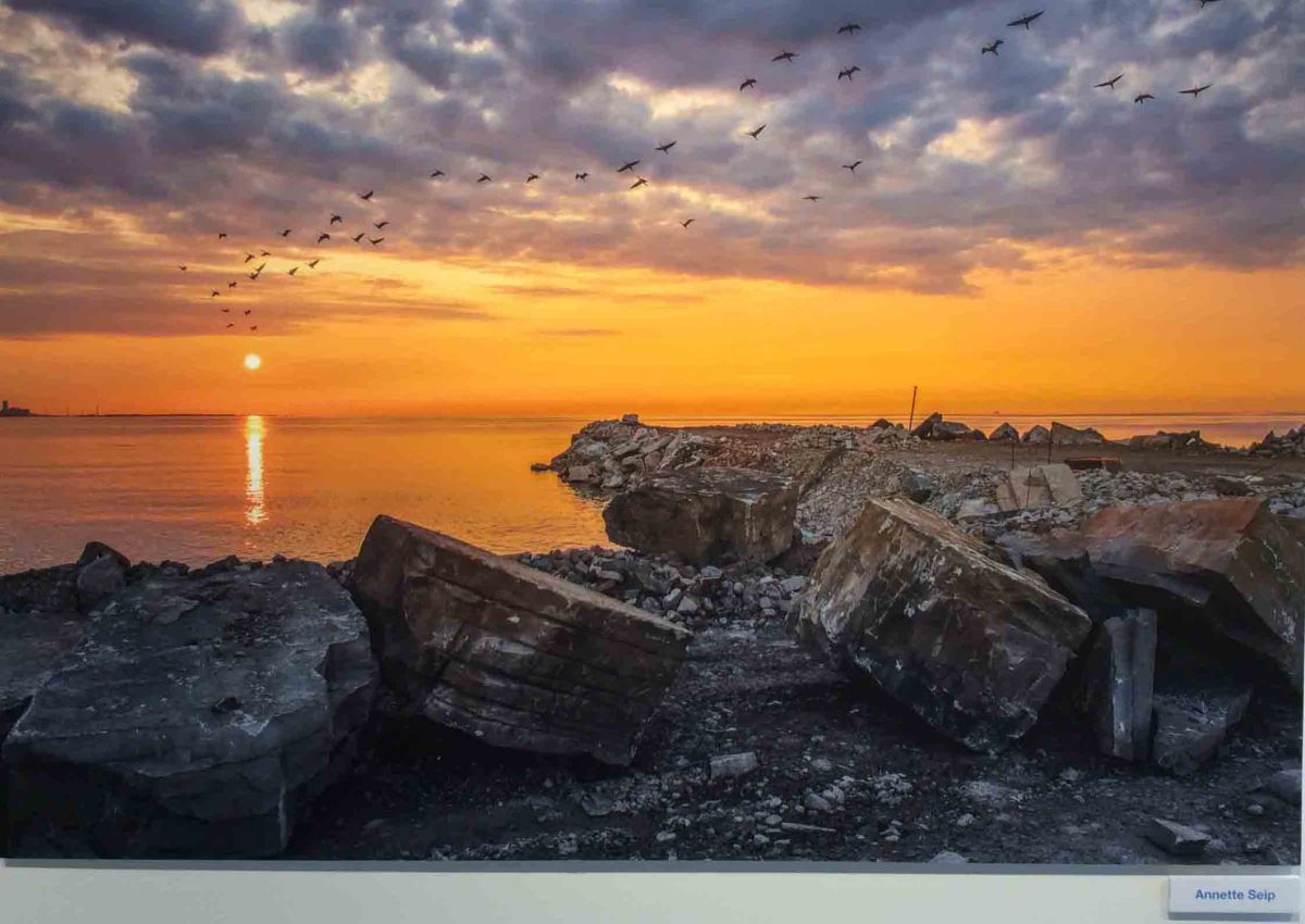 Morphology 2019/2020 Exhibit at PAMA – The Meaning of Water