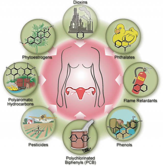 common endocrine disruptors