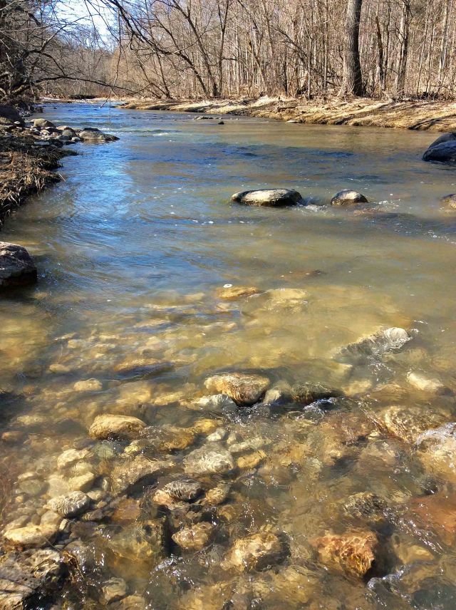 Little Rouge Mar2020