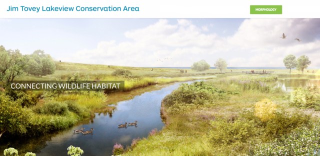 Marsh-connecting habitat copy