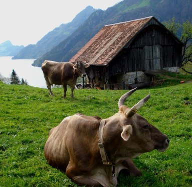 seelisberg-lake-lucerne