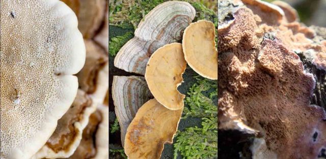 Microsoft Word - Document1