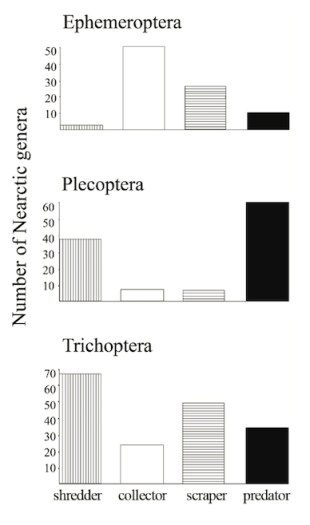 Feeding histogram-Wiggins